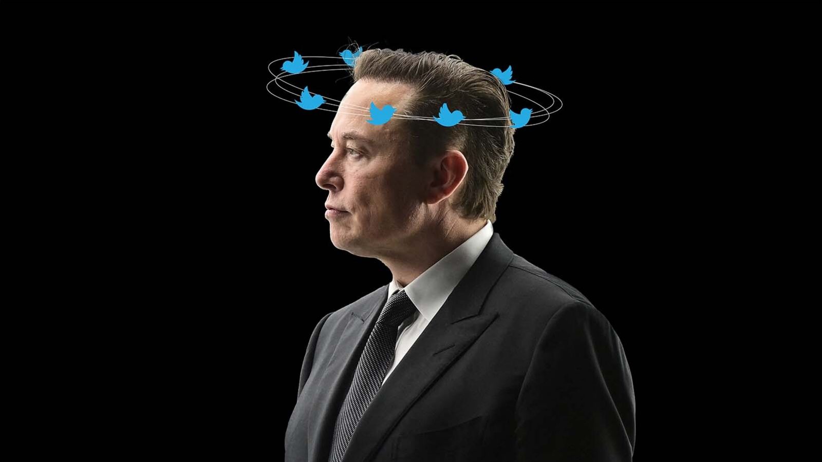 Web Reputation di Elon Musk: come il visionario gestisce la sua Immagine Online