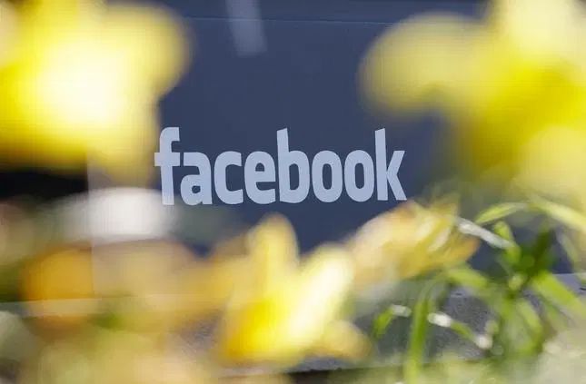 Privacy: Violazioni Transfrontaliere e Responsabilità Legali di Facebook